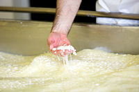 We use a traditional, open vat, which allows us to feel the curd and make adjustments throughout the process