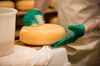 After dry salting, we begin washing each wheel, daily, in a brine solution inoculated with our house curing cultures