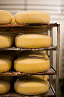 The salt penetrates the wheels, where it will play its part as a preservative and flavoring