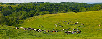North pasture