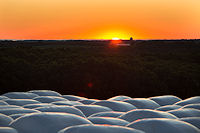 Sunrise over hay bales