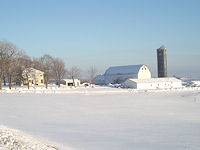 Uplands Cheese winter
