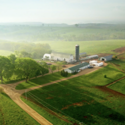 Uplands Cheese in Dodgeville, Wisconsin