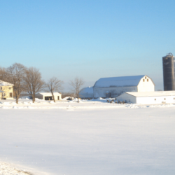 Uplands Cheese winter <a href="https://uplandscheese.com/photos/farm/uplands-cheese-winter.jpg">Download Image</a> 2.03 m .jpg