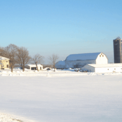 Uplands Cheese winter <a href="https://uplandscheese.com/photos/farm/uplands-cheese-winter.jpg">Download Image</a> 2.03 m .jpg
