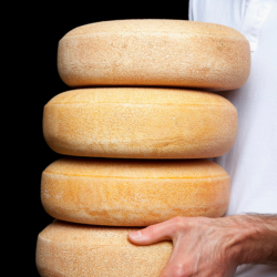 We release different batches at different ages, depending on how the flavors develop <a href="https://uplandscheese.com/photos/cheesemaking-process/andy-with-stack-of-wheels.jpg">Download Image</a> 1.98 m .jpg