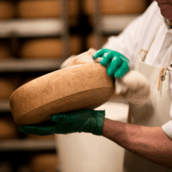 Each wheel is washed by hand at least once a week for the year or more that it's aged, turning the rinds a rich, speckled brown <a href="https://uplandscheese.com/photos/cheesemaking-process/cheeseprocess-12.jpg">Download Image</a> 4.98 m .jpg