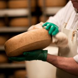 Each wheel is washed by hand at least once a week for the year or more that it's aged, turning the rinds a rich, speckled brown <a href="https://uplandscheese.com/photos/cheesemaking-process/cheeseprocess-12.jpg">Download Image</a> 4.98 m .jpg