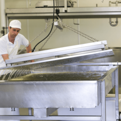 After cooking the curd, we press it all together under a large plate, squeezing out any remaining whey <a href="https://uplandscheese.com/photos/cheesemaking-process/cheeseprocess-5.jpg">Download Image</a> 4.78 m .jpg