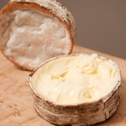 Rush Creek Reserve, ripe and ready to serve <a href="https://uplandscheese.com/photos/creamery/Rush-Creek-Reserve-4-ripe-and-ready-to-serve.jpg">Download Image</a> 6.75 m .jpg