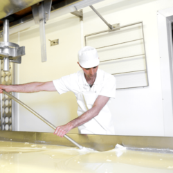 The curds, floating in whey, are stirred and cooked for over an hour <a href="https://uplandscheese.com/photos/cheesemaking-process/tending-vat-b.tif">Download Image</a> 8.59 m .tif