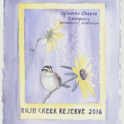 2016 Rush Creek Poster <a href="https://uplandscheese.com/photos/artwork/2016-Rush-Creek-poster.jpg">Download Image</a> 2,328 KB .jpg