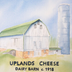 Barn painting <a href="https://uplandscheese.com/photos/artwork/Barn-100-yr-painting.jpg">Download Image</a> 12,636 KB .jpg